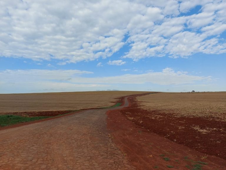 Iracema do Oeste: Prefeitura realiza recuperação de estradas rurais