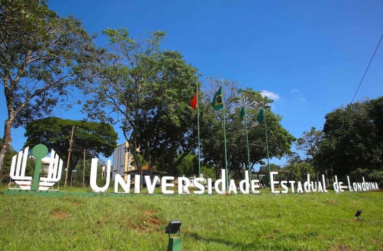 Unesco aprova 26 propostas da UEL de combate ao racismo