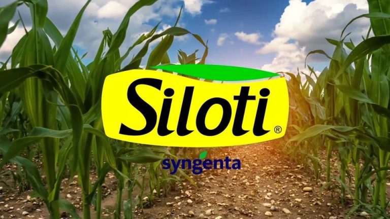 Dia do Cliente: Homenagem da Siloti Agrícola e Indústria