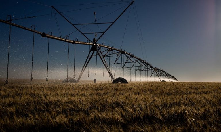 Agricultura lança plataforma para registro de máquinas e tratores