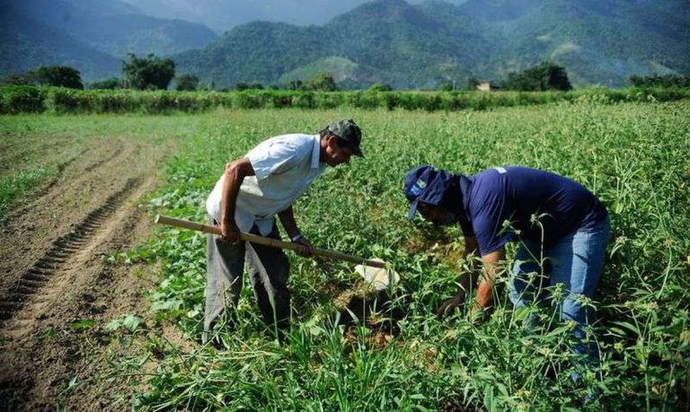 Prazo para preencher CAR e garantir benefícios do Programa de Regularização Ambiental termina no dia 31 de dezembro