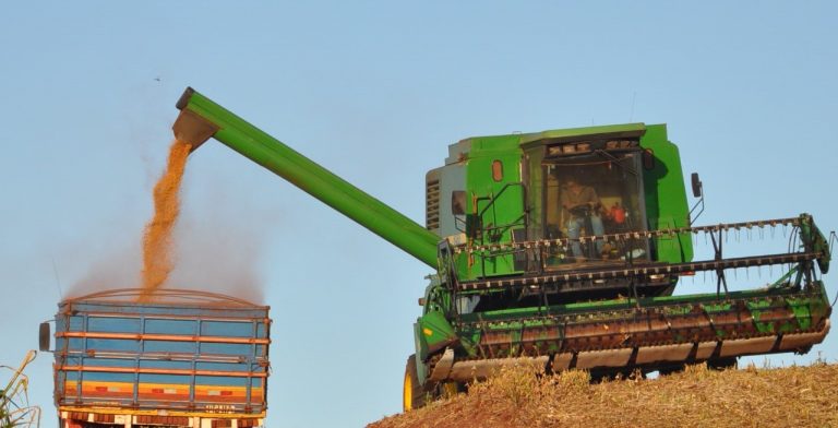 CONAB: Falta de chuva no Sul reduz a estimativa de produção, mas novo recorde é esperado