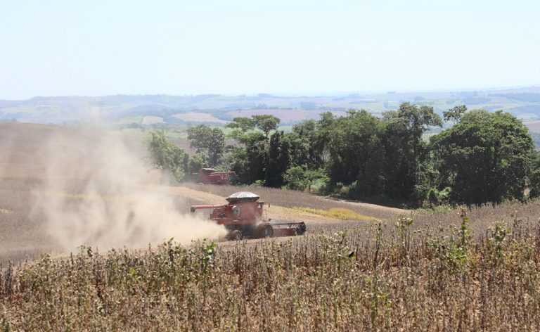 Colheita da soja avança no oeste do Paraná;  tecnologia ajuda na redução de perdas