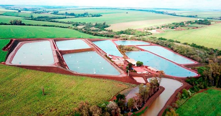 Piscicultura: produtores focados e grandes investimentos proporcionam ótimo momento para atividade em Assis Chateaubriand