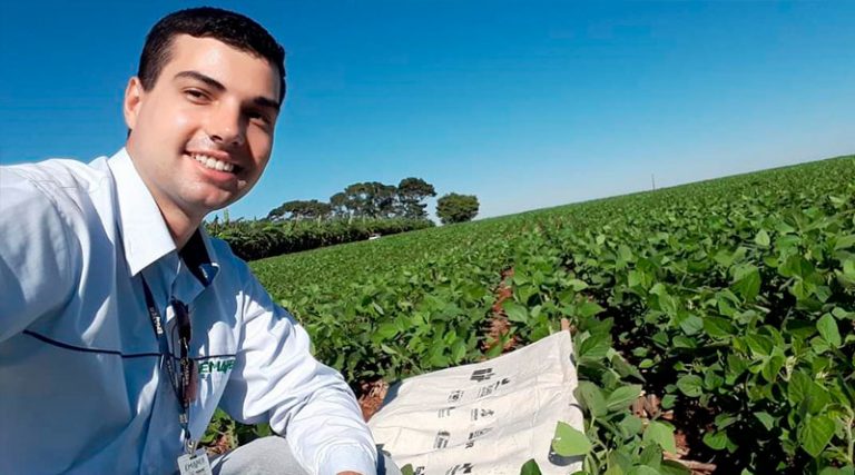Combinação preço e produtividade anima produtores de soja. Colheita já vai começar!