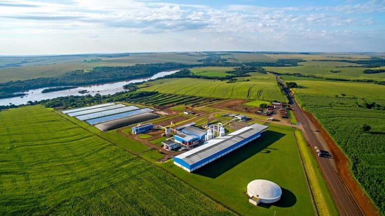 Amidonarias da C.Vale recebem mais mandioca