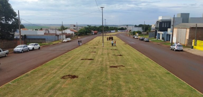 Arborização ornamental em Assis Chateaubriand