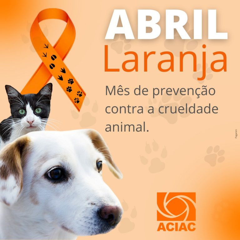 ‘Abril Laranja’: ACIAC apoia campanha de prevenção contra crueldade animal