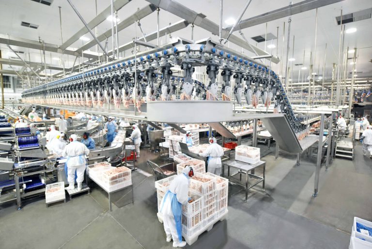 Mais empregos em ano de pandemia. Cooperativas do Paraná geraram mais de 10 mil novos postos de trabalho em 2020