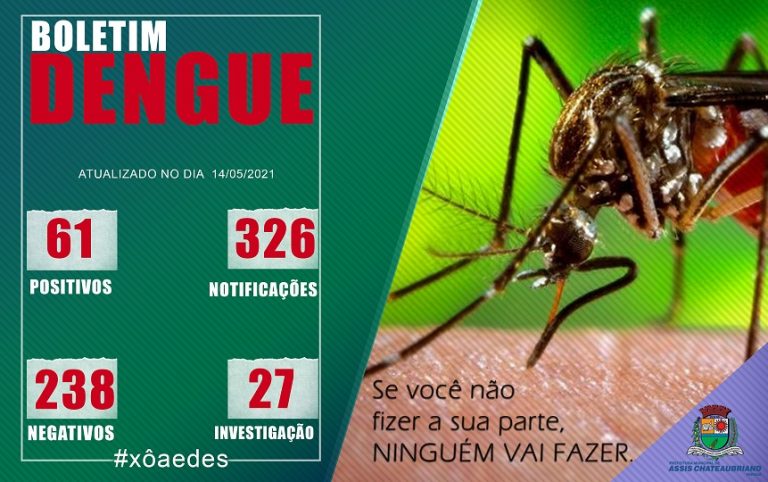 Nenhum novo caso de dengue na última semana em Assis Chateaubriand