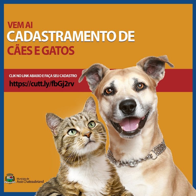 Proprietários de cães e gatos devem fazer cadastro no site do município