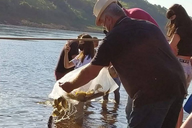 Em quatro meses, rios do Paraná são repovoados com 500 mil peixes nativos