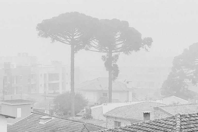 Simepar prevê inverno gelado e seco, com muito nevoeiro e alguns veranicos