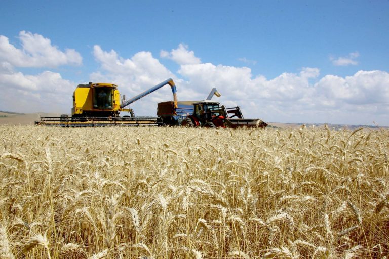 Paraná lança Residência Técnica em Economia Rural; inscrições vão até o dia 12 de julho