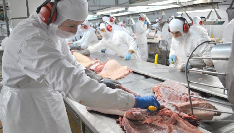 Indústrias de carne planejam investimentos de R$ 2 bilhões no PR com destaque para a Frimesa
