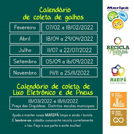 Maripaenses tem até dia 16 para limpeza de terrenos e descarte de galhos
