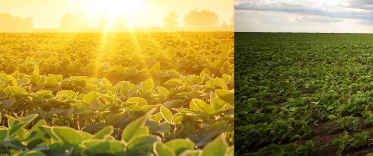 La Niña perde a força e previsão é de neutralidade climática no Paraná