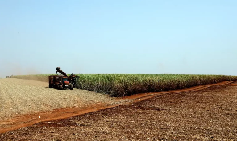 Governo libera R$ 210 milhões para o seguro rural no Rio Grande do Sul