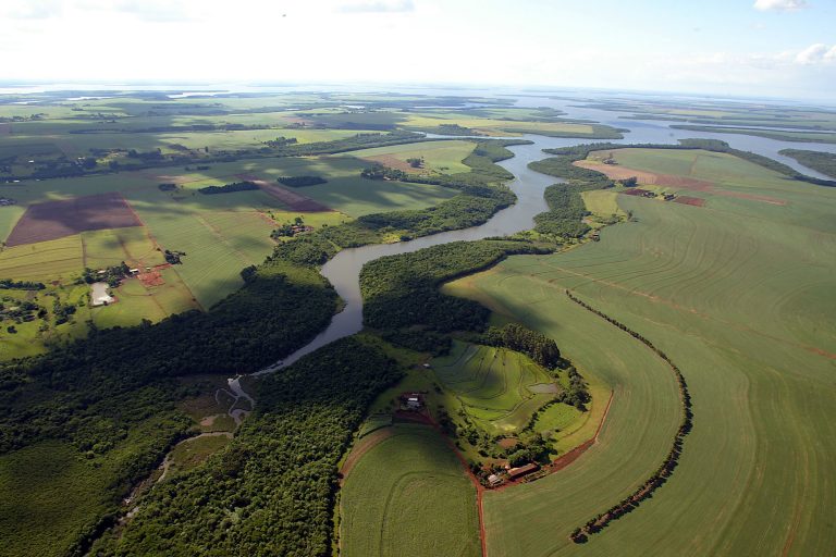 Boas práticas: inscrição para edição 2024 do Selo Clima Paraná encerra na sexta-feira