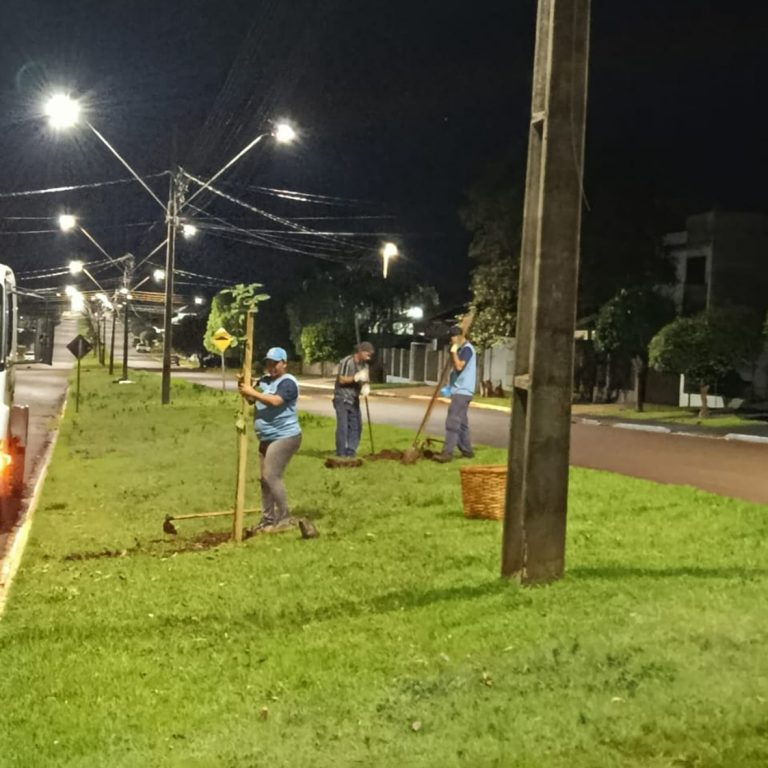 Município promove ação de arborização com espécies nativas na Avenida Cataratas do Iguaçu
