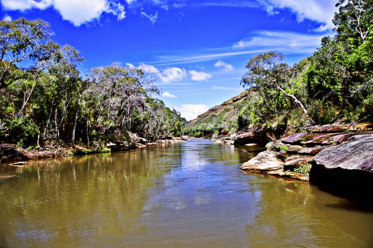 Perto da natureza: parques do Paraná funcionarão no feriado de Corpus Christi