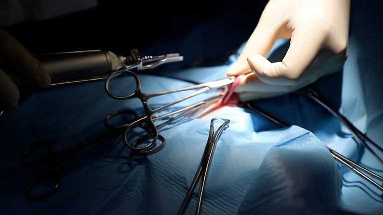 Município de Assis Chateaubriand adquire bisturi ultrassônico para o Castramóvel