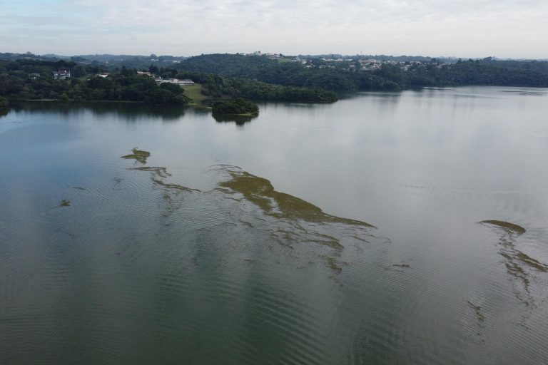 ICMS Ecológico: Estado repassa R$ 316 milhões a cidades com áreas protegidas no 1º semestre