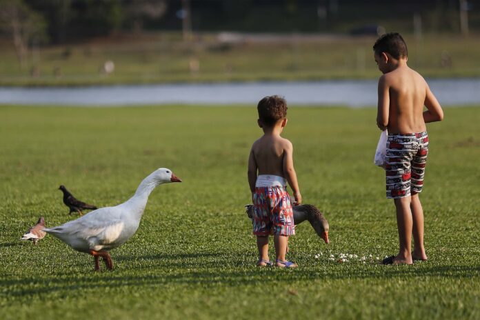 Curitiba-01-10-2020 - Calor em Curitiba - Parque Barigui
