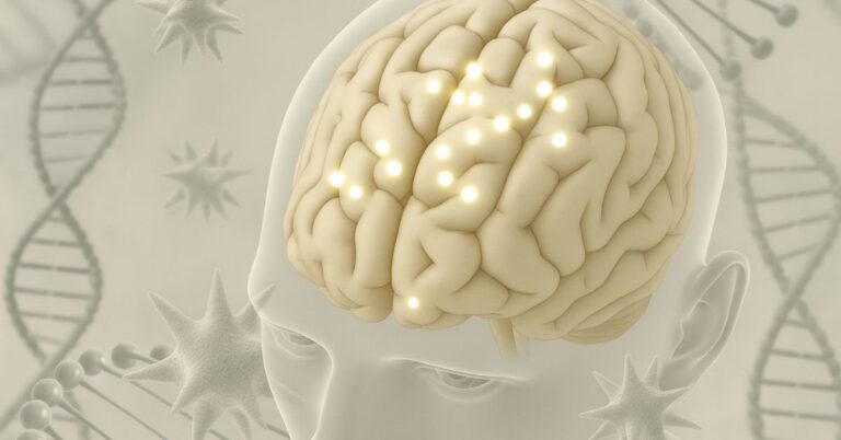 Como o colesterol cerebral influencia a saúde do cérebro