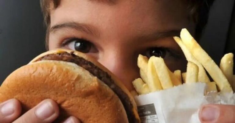 Proibição de ultraprocessados em escolas pode reduzir obesidade juvenil em 13%, aponta Idec