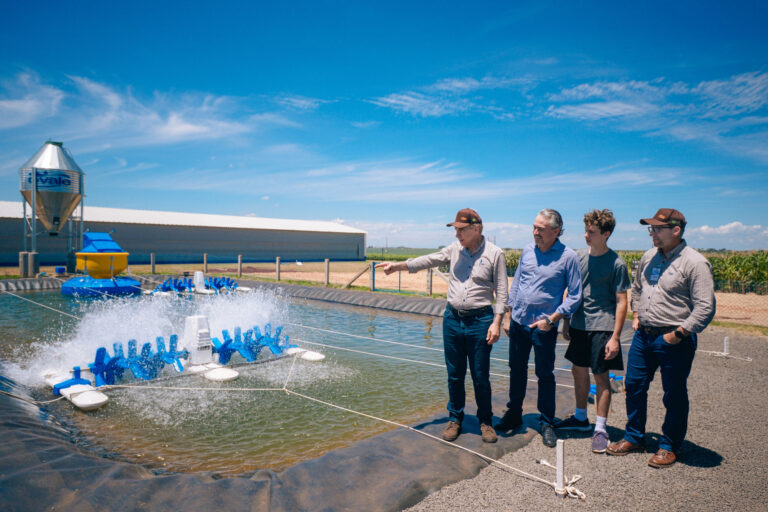 Pioneirismo no agronegócio: Produtores se beneficiam de novidades tecnológicas adotadas pela C.Vale