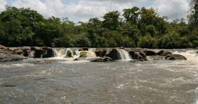 Unidades de conservação do Brasil ganham referência global na Amazônia