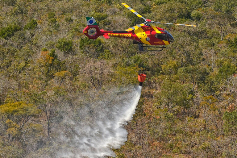 Chuvas e conscientização da população reduzem em 41% incêndios florestais no Paraná