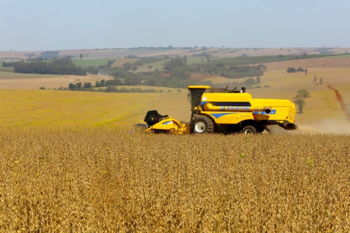 Boletim do Deral aponta safra robusta e consolida cenário positivo no Paraná