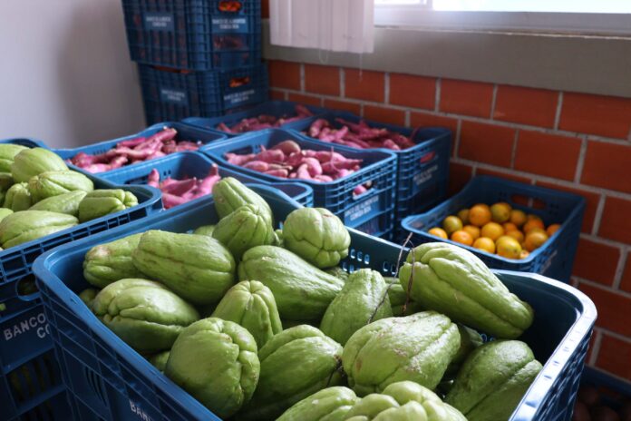 Imagem Ilustrativa - Desperdício de Alimentos