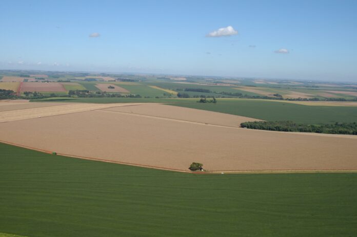 C.Vale alcança recorde histórico de produção