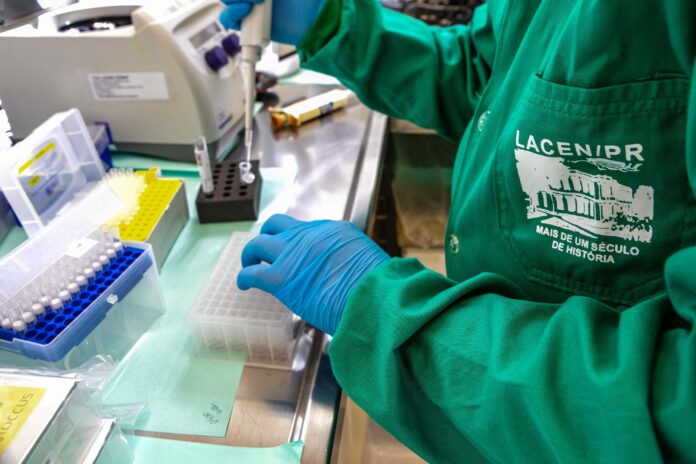 Paraná vira referência global no combate à resistência antimicrobiana