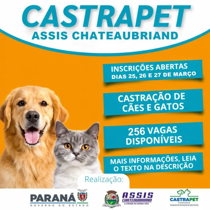 Inscrições para castrações gratuitas começam nesta quarta-feira