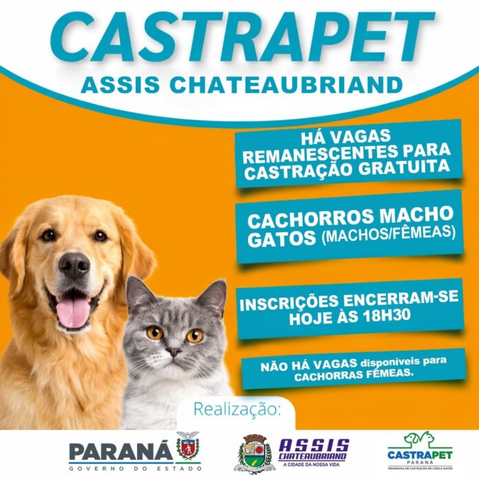 Vagas remanescentes para castração gratuita