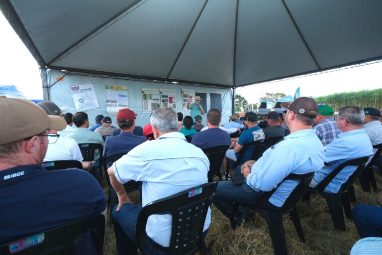 C.Vale: Dia de Campo reúne produtores de mandioca