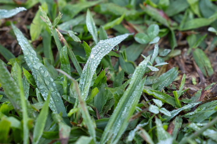 Paraná tem primeiras temperaturas negativas e recorde de frio no ano