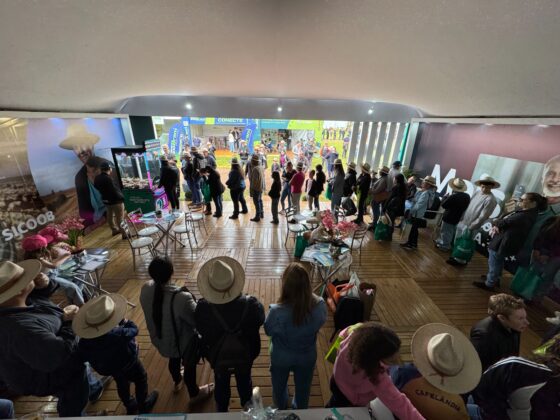 Copacol Agro 2026: Com mascote Fil&oacute; e campanhas exclusivas, Sicoob se destaca entre os estandes mais visitados