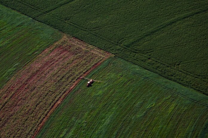 Agropecuária do Paraná cresce 13% e atinge R$ 212,6 bilhões
