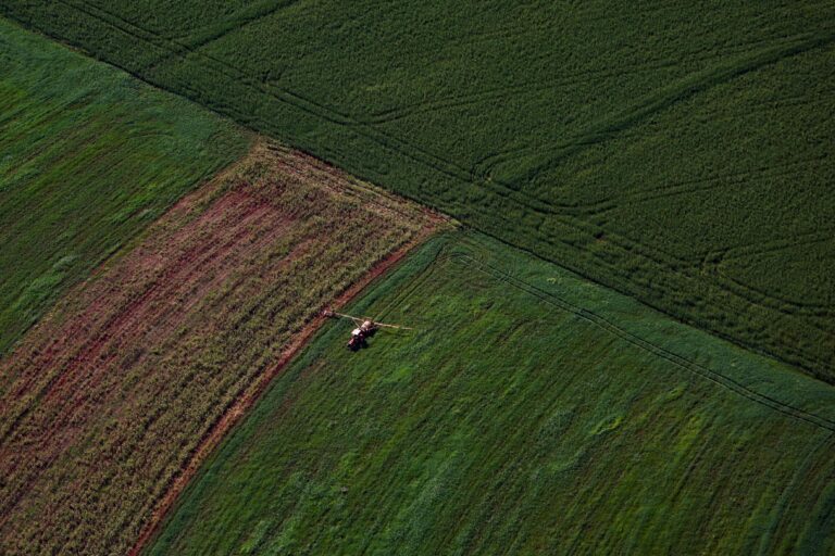 Agropecuária do Paraná cresce 13% e atinge R$ 212,6 bilhões