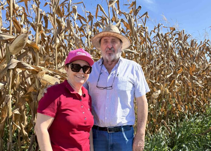 Conheça a história do produtor que trocou o Sul pelo Cerrado e construiu referência no agro