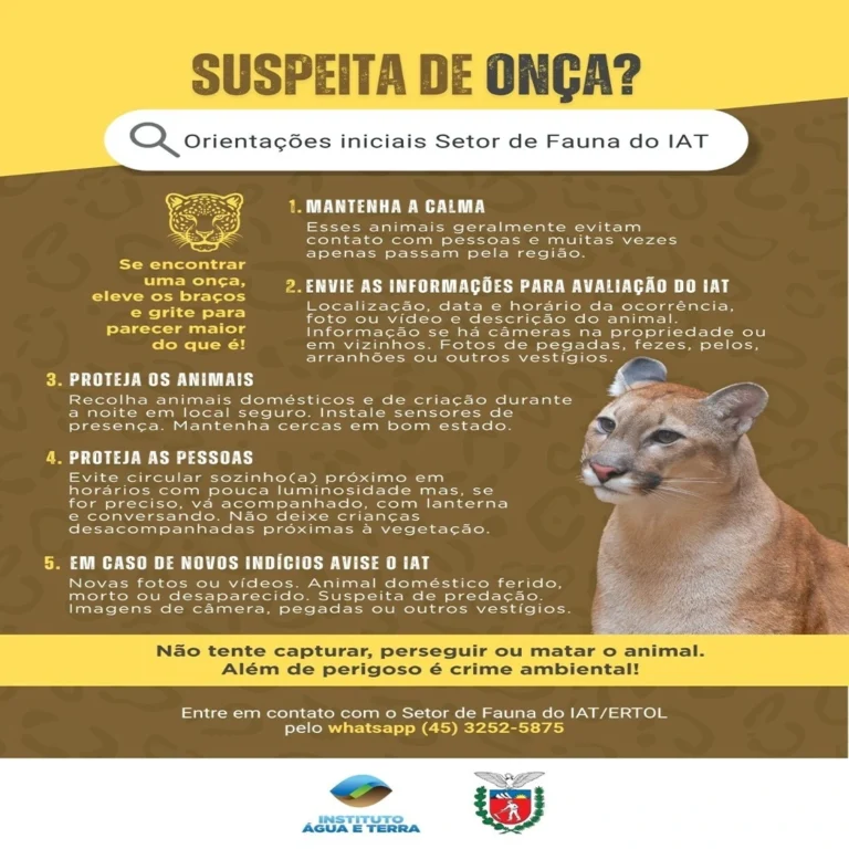 Suspeita de onça em Assis Chateaubriand