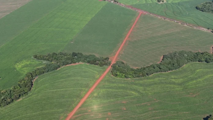 valor da terra nua 2026 Assis Chateaubriand ITR